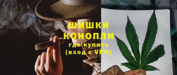 PSILOCYBIN Арсеньев
